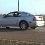 Scarlet Doing Burnouts in the Mustang