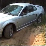 Scarlet Stuck in Boots While Trail Riding, 2 of 2